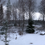 View from first floor barn apartment