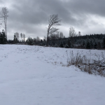 Rear of the property (I)