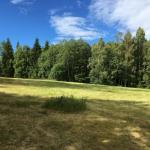 Wiesen